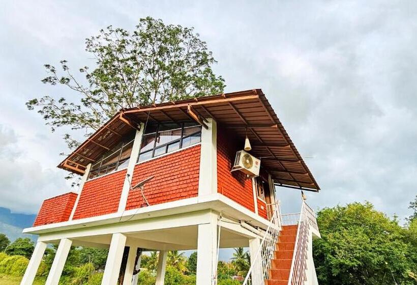 豪华房间, Nature Full Resort
