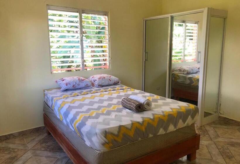 اتاق استاندارد, Accommodations Caribbean
