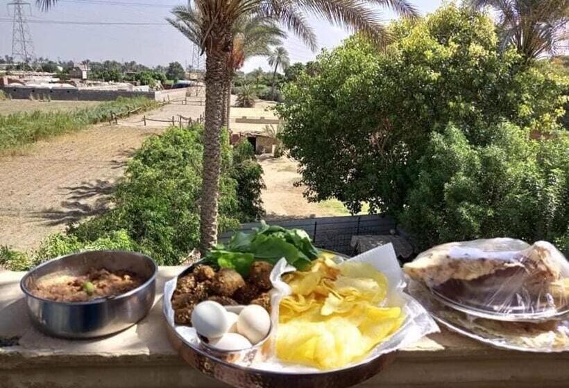 استودیوی استاندارد, Family House بيت العيلة