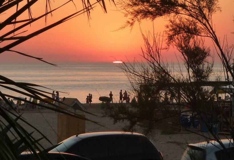 اتاق استاندارد, Marina Punta Colorada