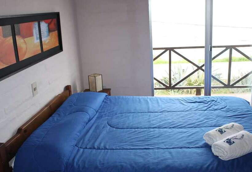 اتاق استاندارد, Marina Punta Colorada