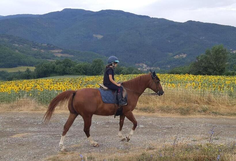 Апартаменты 2 Спальни, Agriturismo Fattoria Il Ginepro