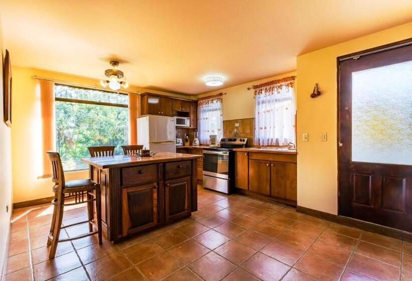 شقة غرفة واحدة, La Terraza Guest House B&b