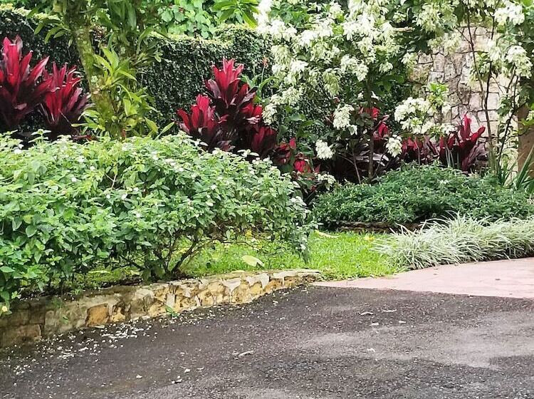 스탠다드 룸, La Terraza Guest House B&b