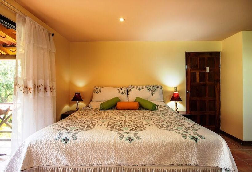 침실 1개 아파트, La Terraza Guest House B&b