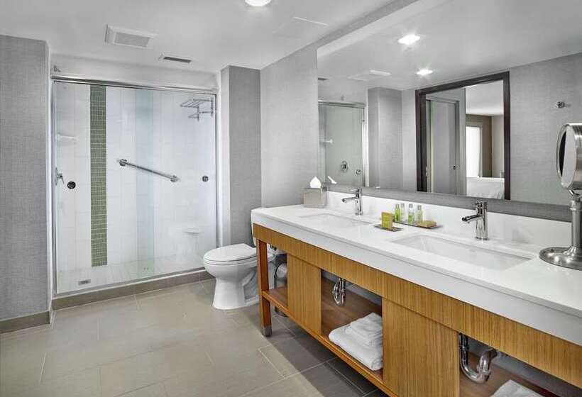 디럭스 스위트 킹 침대, Embassy Suites By Hilton Berkeley Heights