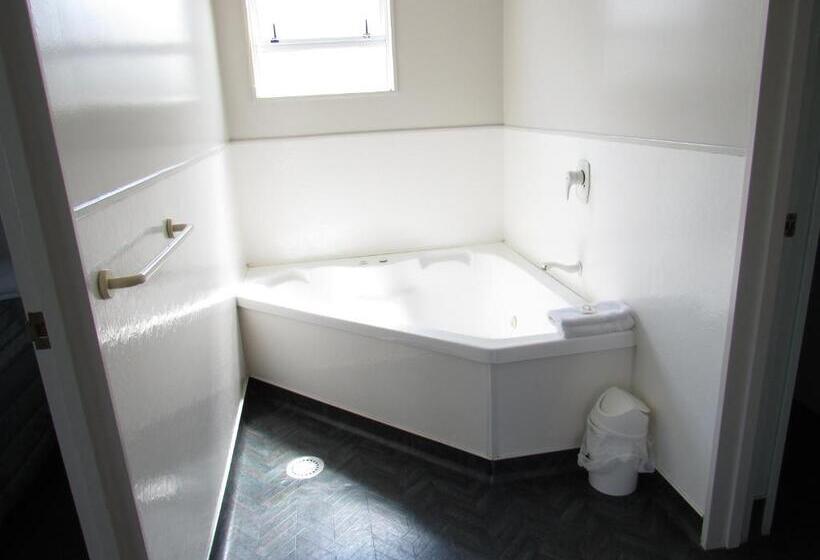 Апартаменты 1 Спальня, Palmerston North Motel