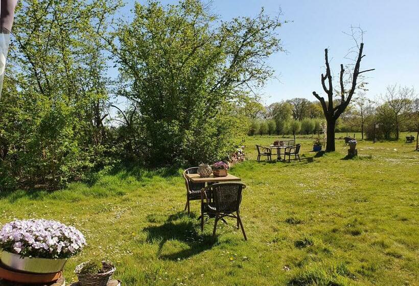 חדר סטנדרט חדר אמבטיה משותף, B&b Rezonans