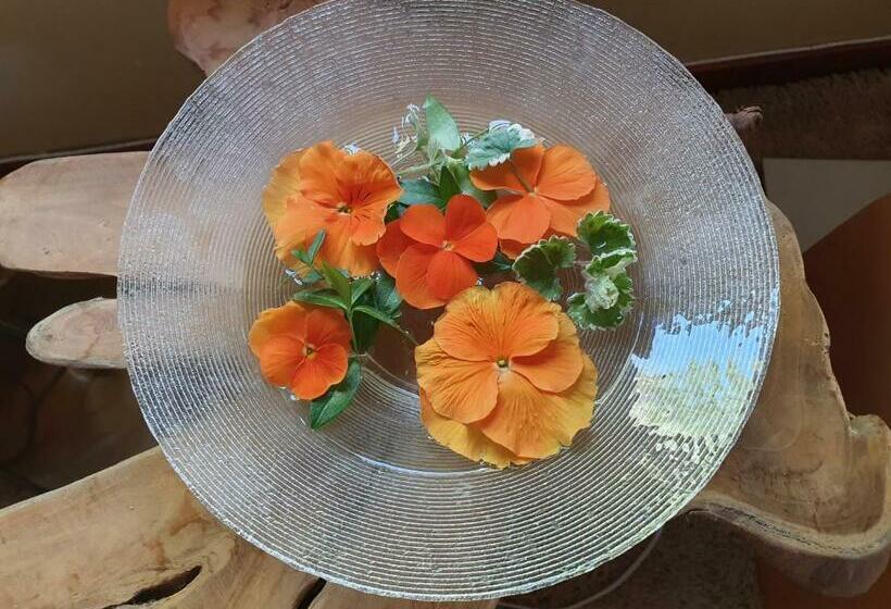 חדר סטנדרט חדר אמבטיה משותף, B&b Rezonans