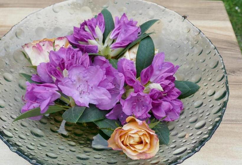 חדר סטנדרט חדר אמבטיה משותף, B&b Rezonans