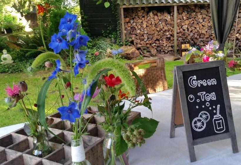 Номер Стандарт Трехместный, B&b Rezonans