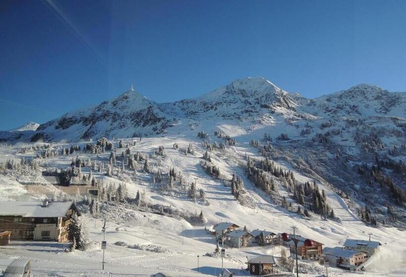 شقة غرفتين, Andi S Ski