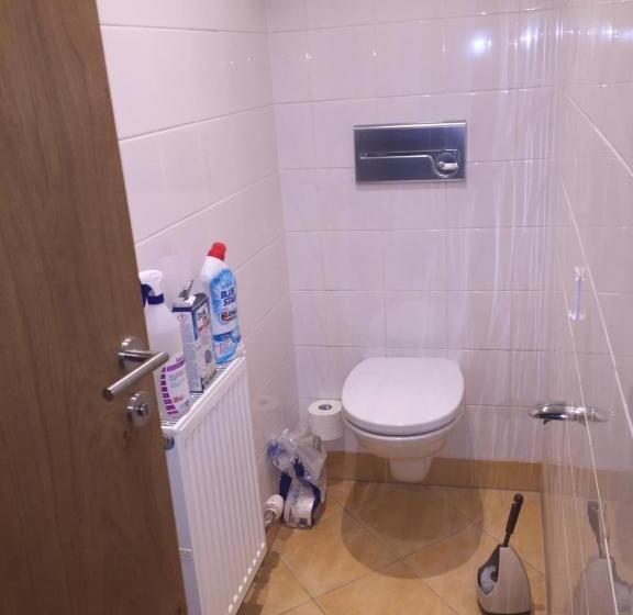 شقة غرفة واحدة ذات إطلالة, Andi S Ski