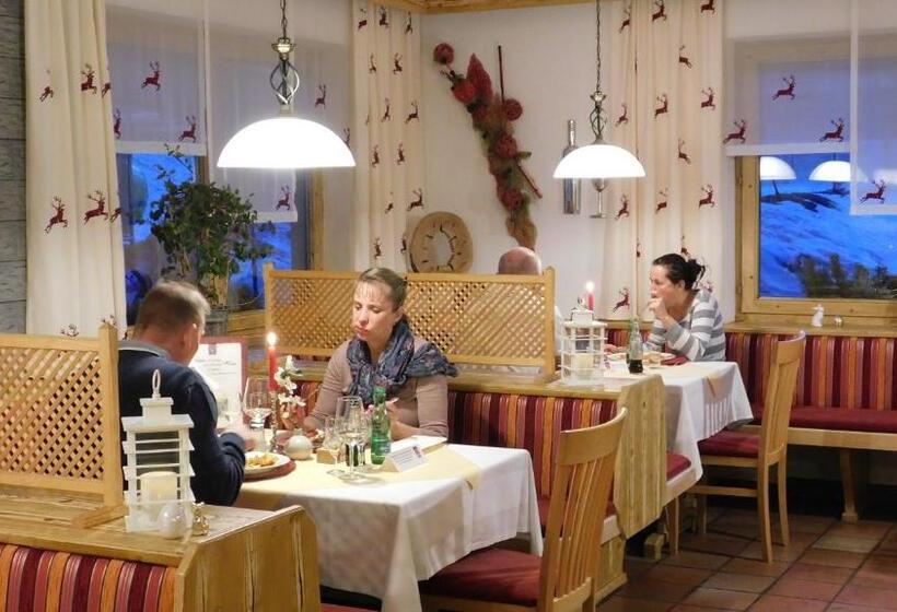 غرفة قياسية, Alpenhotel & Aparthotel Lanz