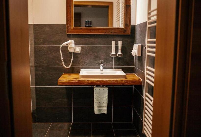 شقة سوبريور غرفة واحدة, Alpenhotel & Aparthotel Lanz