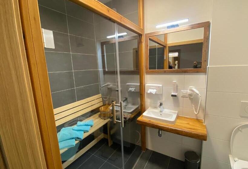 １ベッドルームのスーペリアアパートメント, Alpenhotel & Aparthotel Lanz