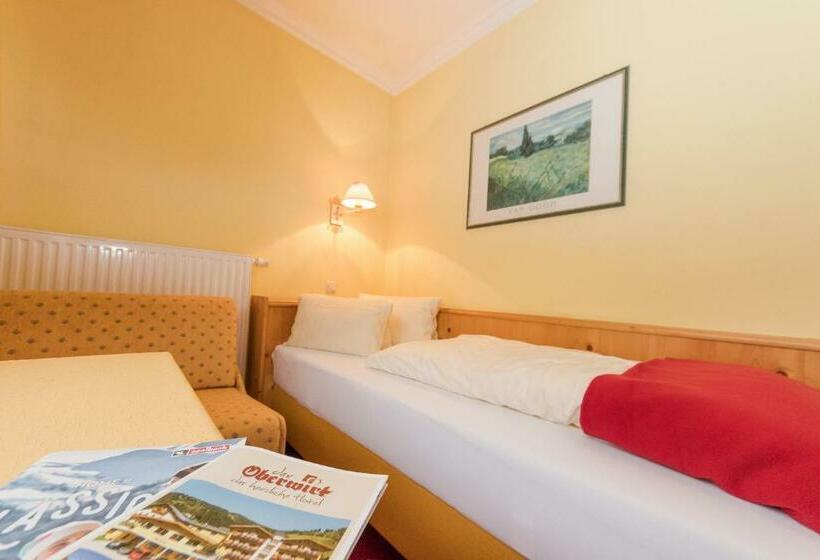 اتاق استاندارد یک نفره, Oberwirt   Nahe An Saalbach Und Zell Am See