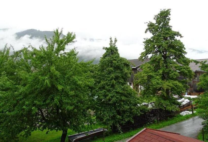 Апартаменты 1 Спальня, Alpinresort Derbacherhof