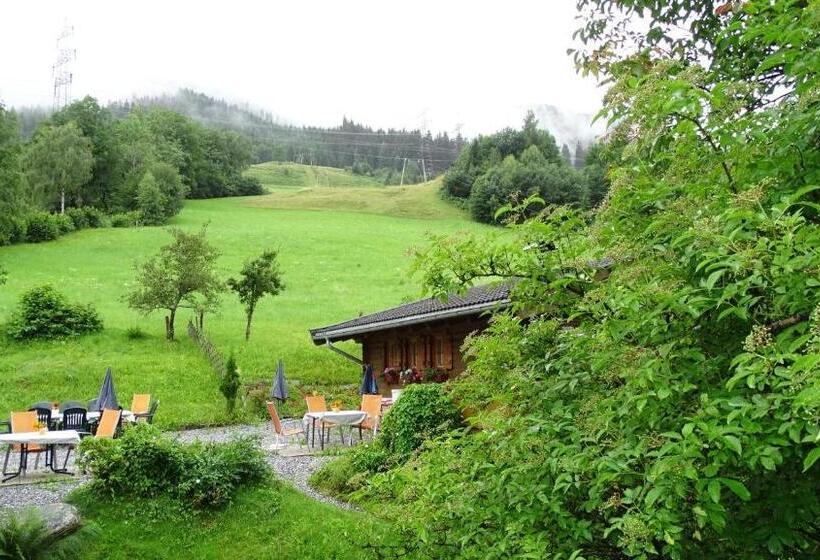 Апартаменты 1 Спальня, Alpinresort Derbacherhof
