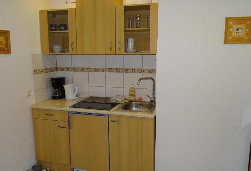 Апартаменты 1 Спальня, Alpinresort Derbacherhof
