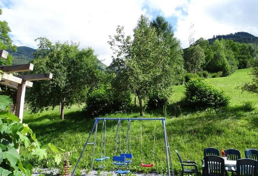 Апартаменты 1 Спальня, Alpinresort Derbacherhof