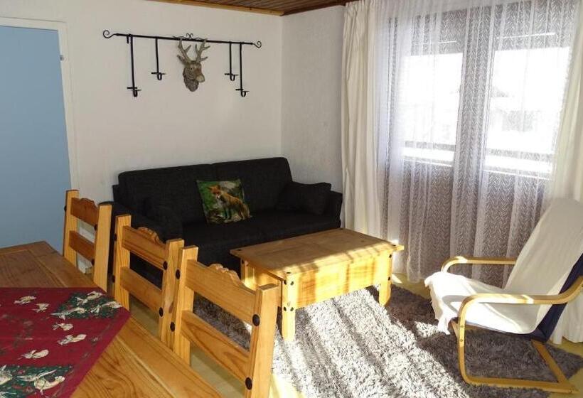 Апартаменты 1 Спальня, Alpinresort Derbacherhof
