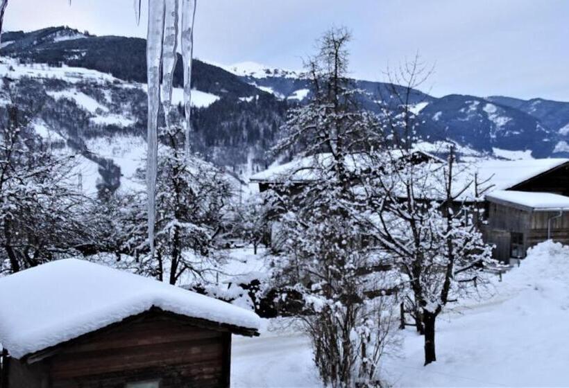 Апартаменты 1 Спальня, Alpinresort Derbacherhof