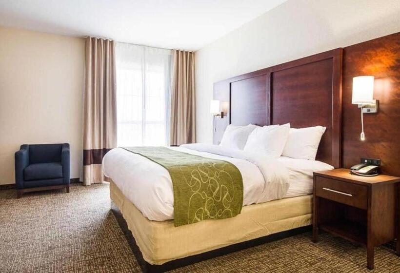 جناح سرير كينج, Comfort Suites Greenville South