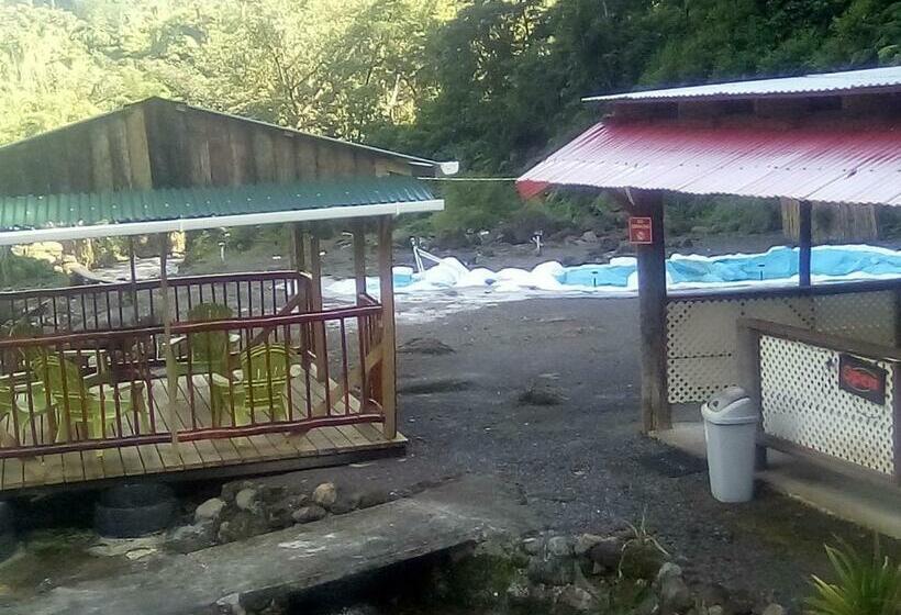 Номер Стандарт, Natty Tropical Valley