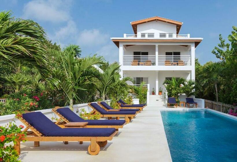 수피리어 스위트, Weezie S Ocean Front Hotel And Garden Cottages