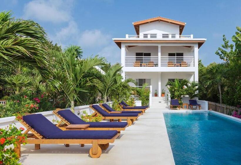 스탠다드 룸, Weezie S Ocean Front Hotel And Garden Cottages