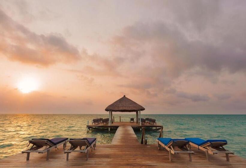 스탠다드 룸, Weezie S Ocean Front Hotel And Garden Cottages