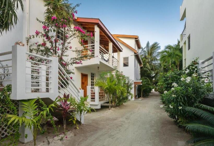 스탠다드 스튜디오, Weezie S Ocean Front Hotel And Garden Cottages