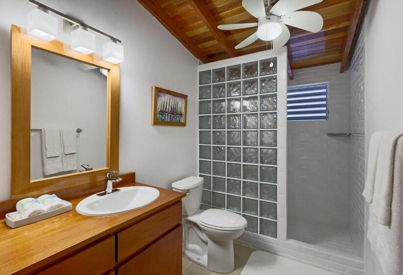 Люкс Кровать Кинг, Weezie S Ocean Front Hotel And Garden Cottages