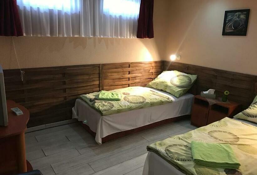 غرفة قياسية, Abszolút Hotel és Panzió