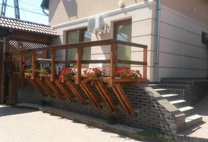 شقة غرفتين, Abszolút Hotel és Panzió