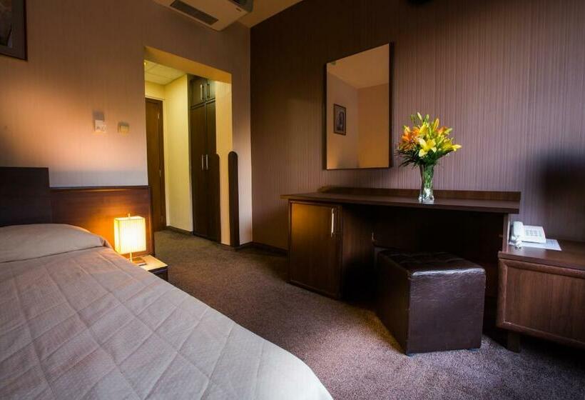 스탠다드 싱글 룸, Hemus Hotel   Vratza