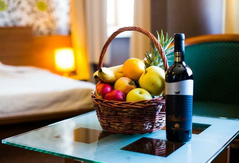 스탠다드 룸, Hemus Hotel   Vratza