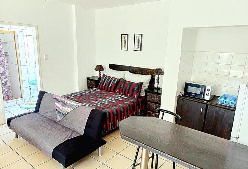 اتاق استاندارد چهار تخته, Airport Lodge Or Tambo