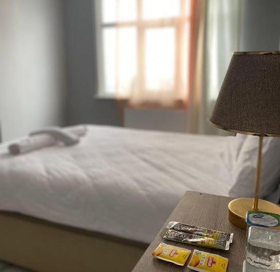 اتاق استاندارد با چشم‌انداز باغ, Airportforestroom