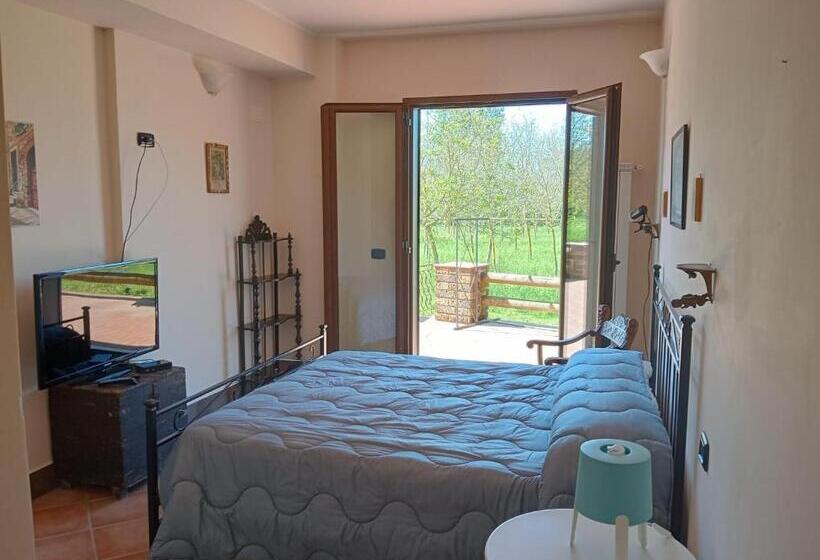 Номер Стандарт, Tenuta Frontini