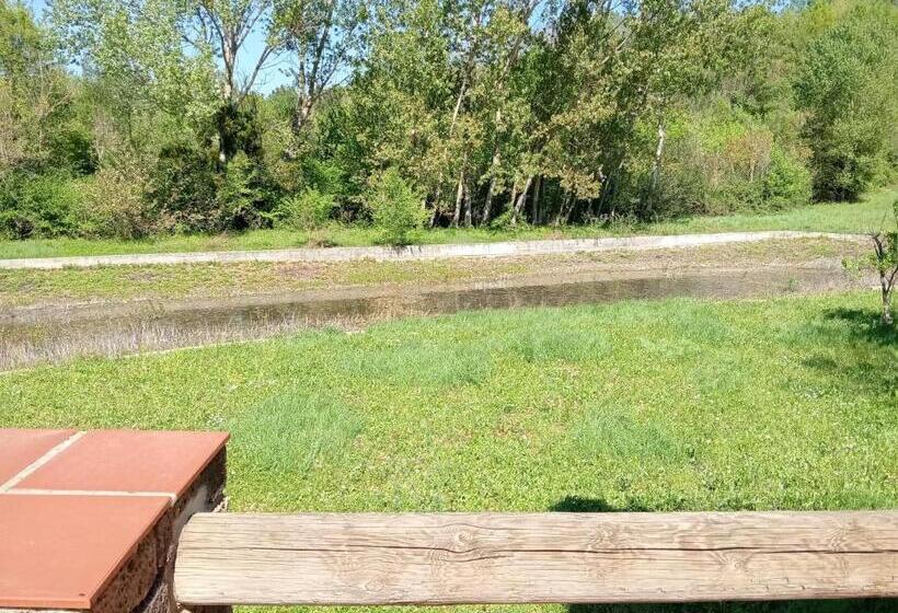 Номер Стандарт, Tenuta Frontini