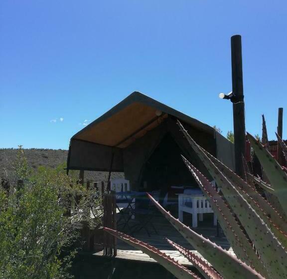 Standard Tent, Le Petit Karoo Ranch