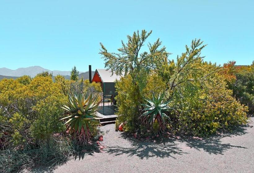 Standard Tent, Le Petit Karoo Ranch