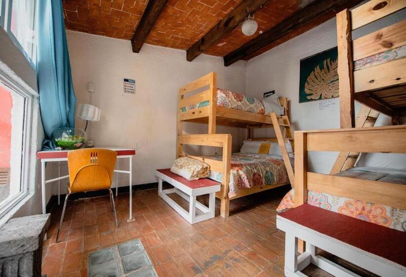 Семейный Номер Совместный Санузел, Hostel Mexico Df Airport