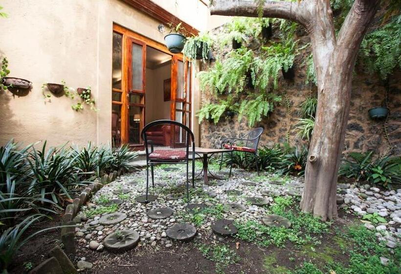 חדר סטנדרט עם מיטת קינג, Orchidelirium Casa Hotel & Salud Estética