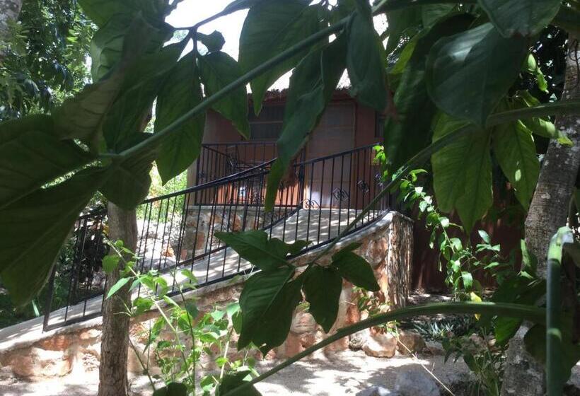 Четырехместный Номер Стандарт, The Pickled Onion Eco Boutique B&b
