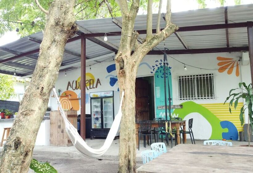 Номер Стандарт Четырехместный Совместный Санузел, Acuarela Hostal