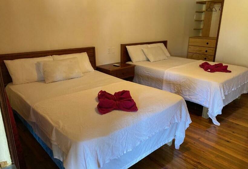 Номер Стандарт, Coral View Beach Resort