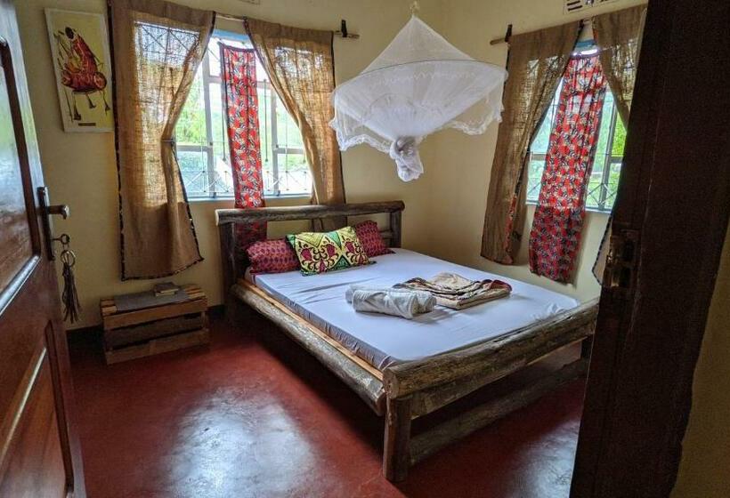 اتاق لوکس, Backyard Hostel